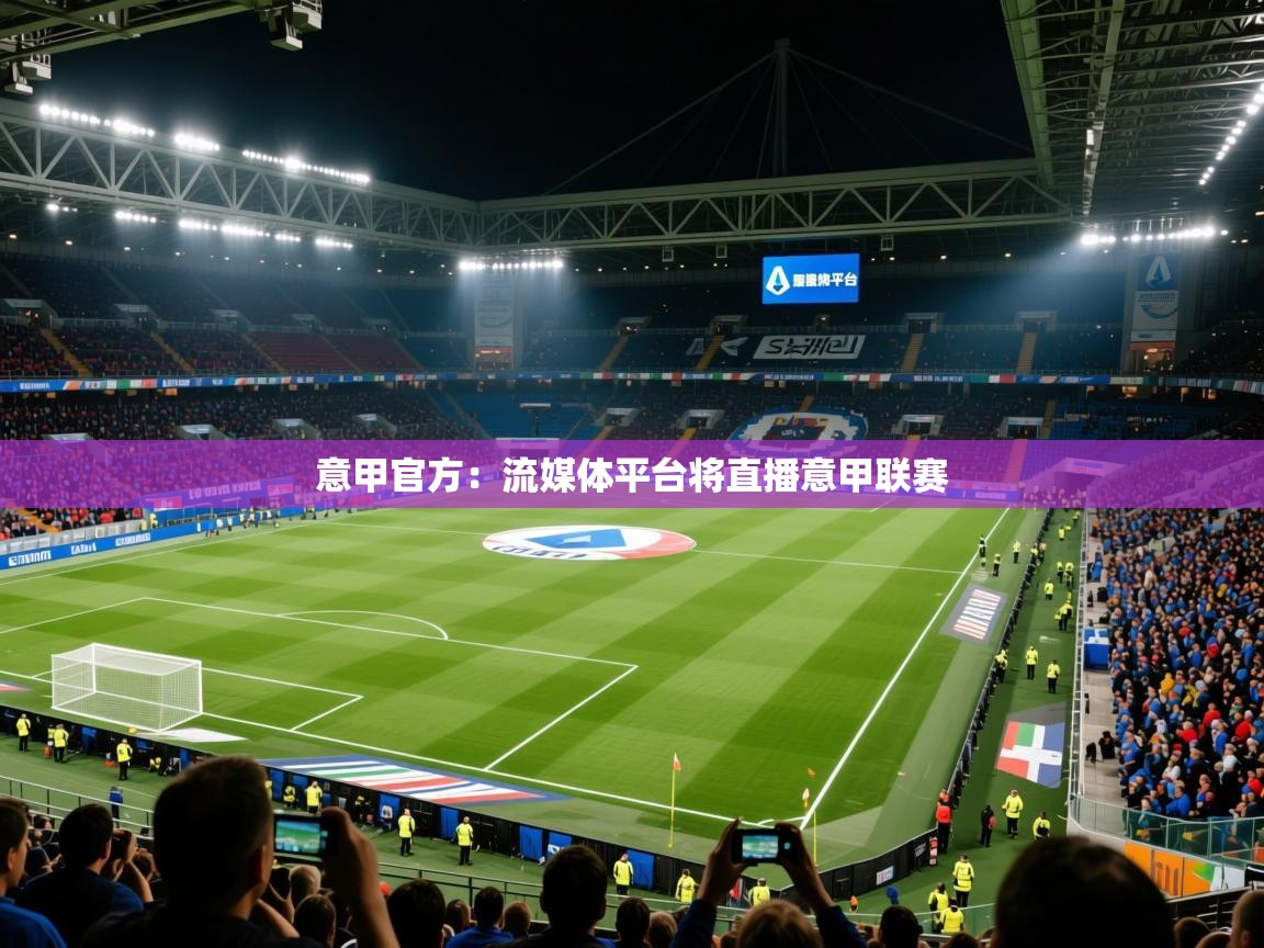 2025开云体育入口注册意甲官方：流媒体平台将直播意甲联赛  第1张