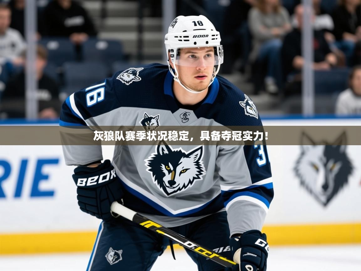 2025开云体育在线登录灰狼队赛季状况稳定,具备夺冠实力! 第1张