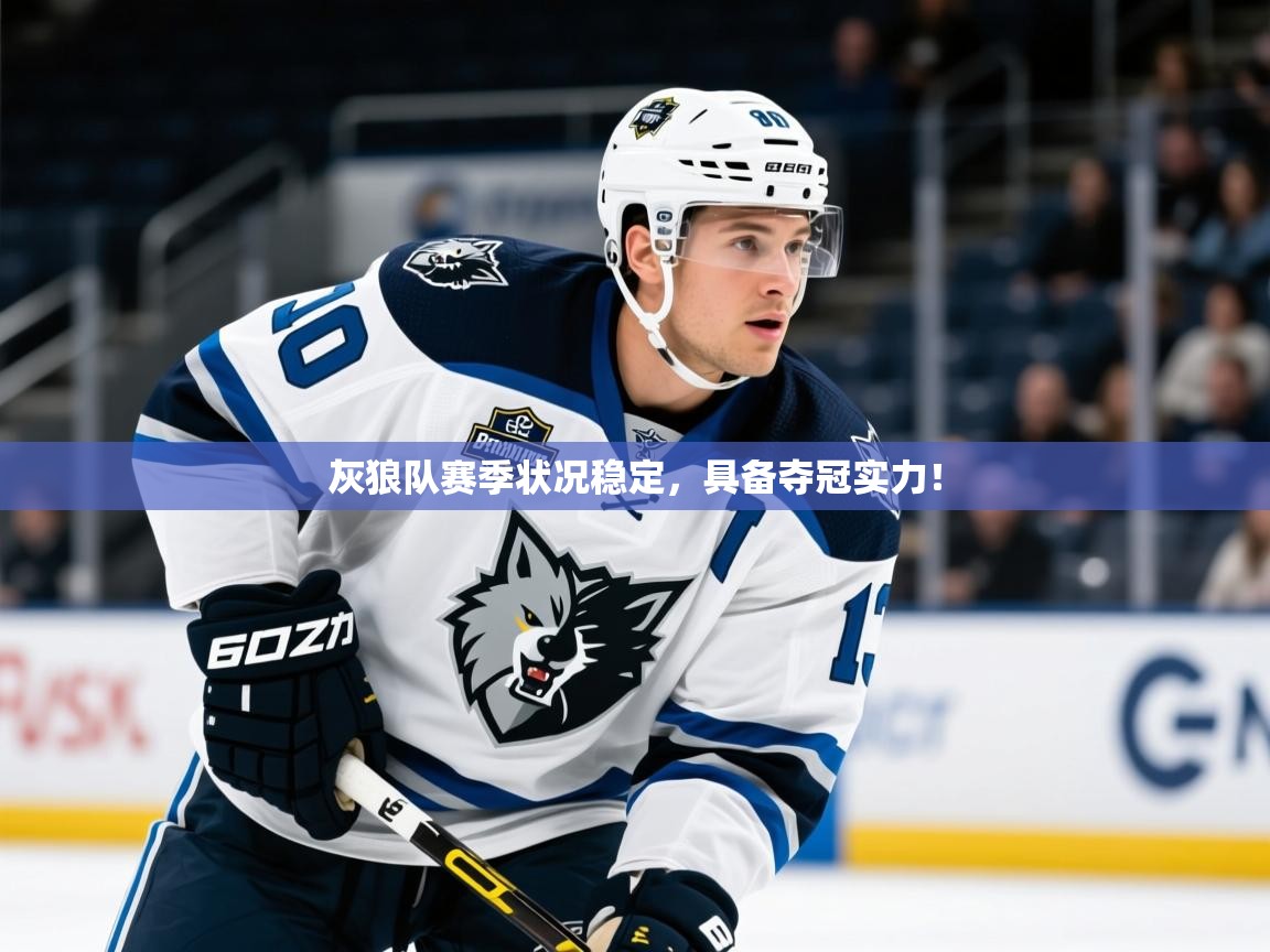 2025开云体育在线登录灰狼队赛季状况稳定,具备夺冠实力! 第4张