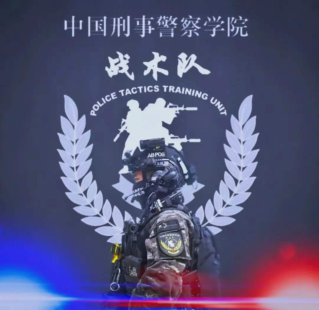 独特战术展现团队实力，赢得球迷青睐