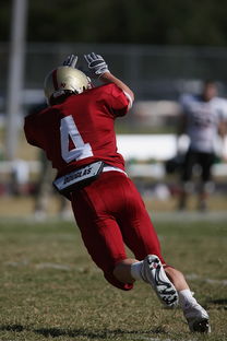 2025开云体育入口下载快船队换帅,球队面貌大变 第3张